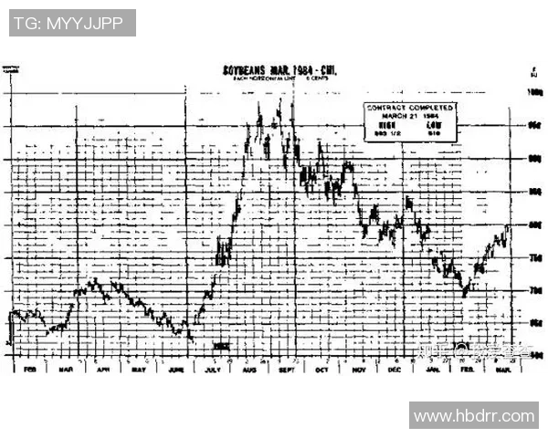 提升whzy高伤害输出的技巧与策略全面解析与实战经验分享